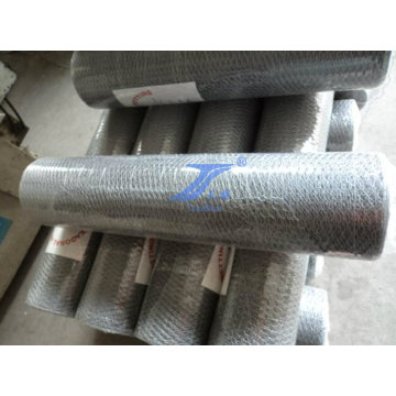 Galvanized Roll Hexagonal Wire Mesh (factory)